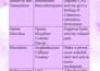 make neat mbbs ppts or notes